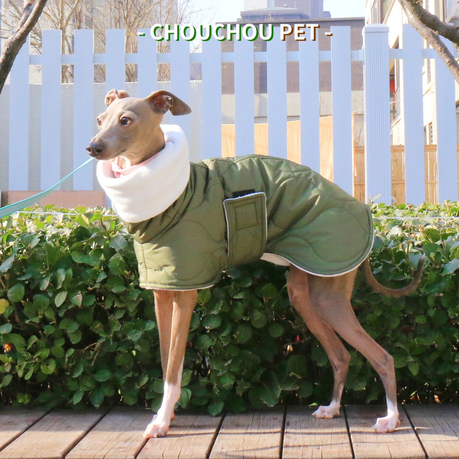 Chaqueta acolchada de invierno impermeable iggy whippet saluki