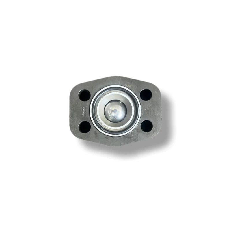 Hydraulic valve 026-70301-0 C5V10 611 B1 019 Check valve, check valve