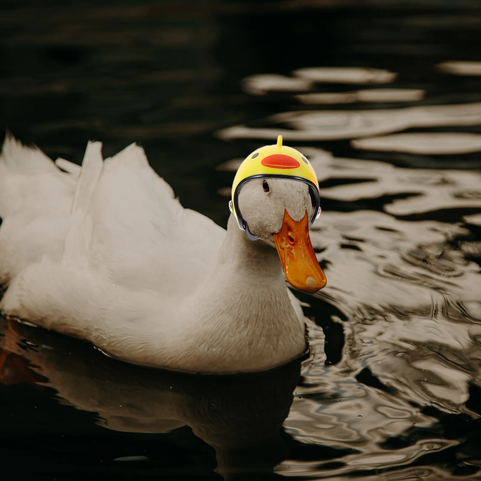 

4Pcs Chicken Helmets for Hens Strong Plastic Adjustable Safety Headwear for Domesticated Poultry Injury Prevention