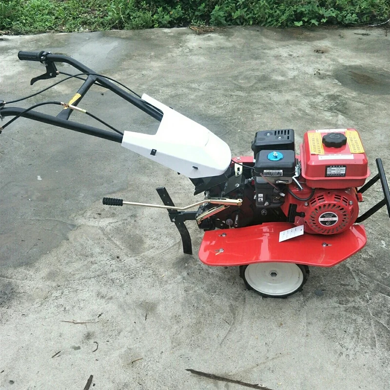 

Small Two-wheel Rotary Tiller Cultivator Mini Tiller Cultivator Provided Agricultural Machinery