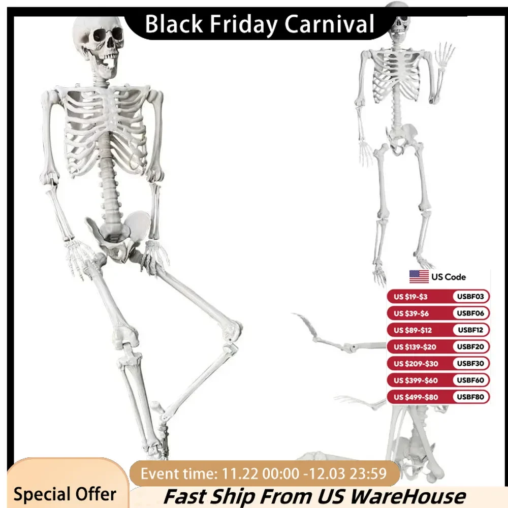 Full Body Life Size Human Bones with Movable Joints, Halloween Skeleton, Indoor Props Decorations, 5 ft, 165cm