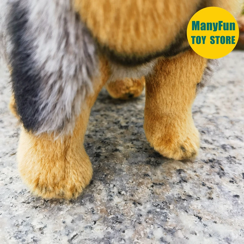 واقعية الأسترالية الماشية الكلب عالية الدقة كوينزلاند كعوب ألعاب من القطيفة نابض بالحياة الراعي الكلاب بلوشي الحيوانات المحشوة دمية #5