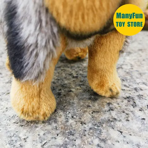 10 best sales Australisk nötkreaturshund - №4