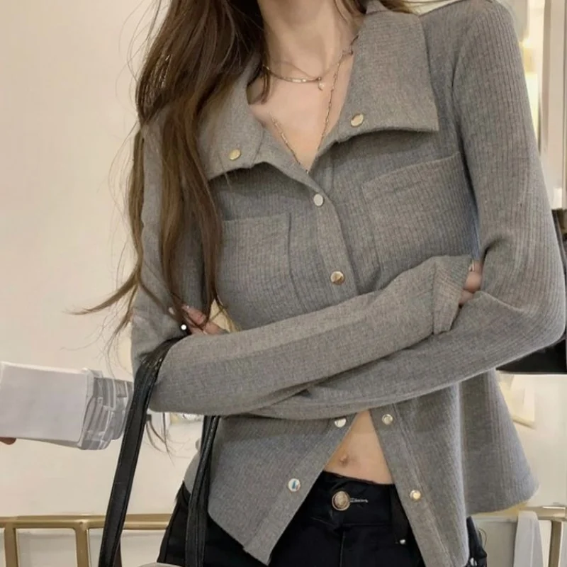 Fall Women Gray Solid Lapel Collar Long Sleeve Top Unique Niche Design Elegant Texture All-Match Korean Chic Minimalist  Top