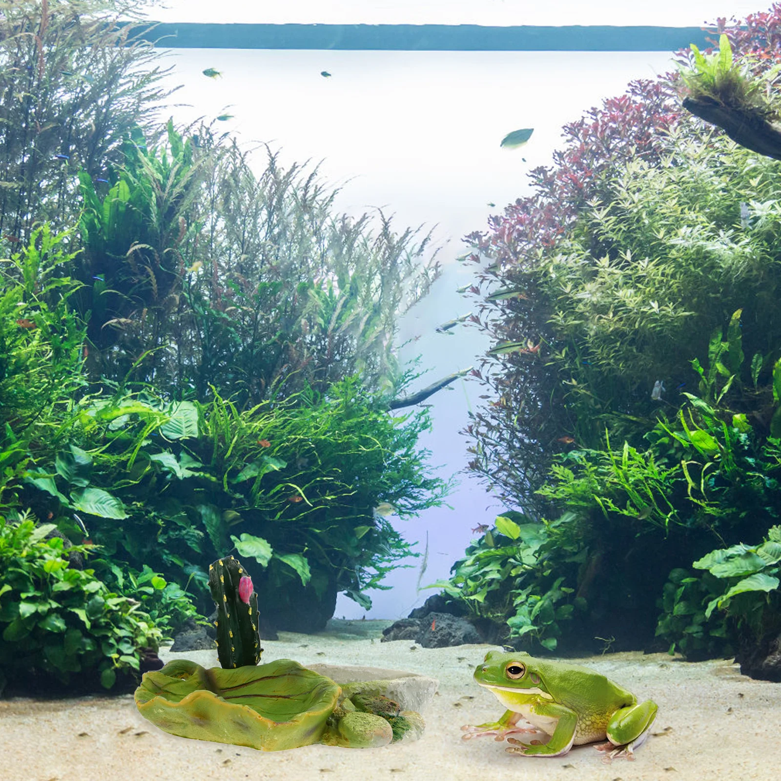 

Premium Resin Reptile Food Bowl Hand-Painted Evenly Colored Realistic Pet Cage Accessory Suitable Turtles Lizards Small