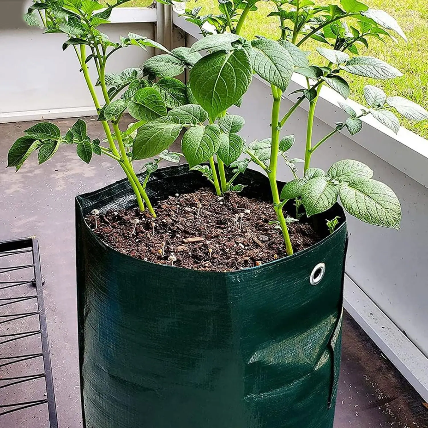 SPONDWILD 5 Stück 7 Gallonen-Wachstumsbeutel PE-Gemüse-Wachstumsbeutel DIY Stoff-Wachstumstopf-Wachstumsbeutel Gemüsepflanzentasche Outdoor-Gartentöpfe – Detail 9
