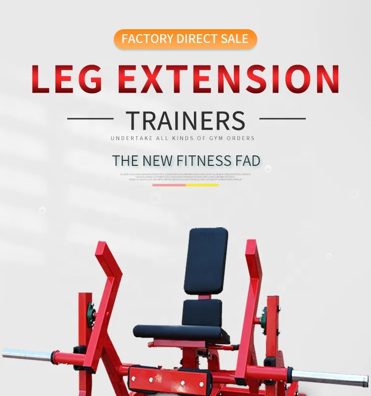 Leg Press  Machine  Exercise Commercial Fitness Equipment Gym Seated Calf Raise Machine For Gym