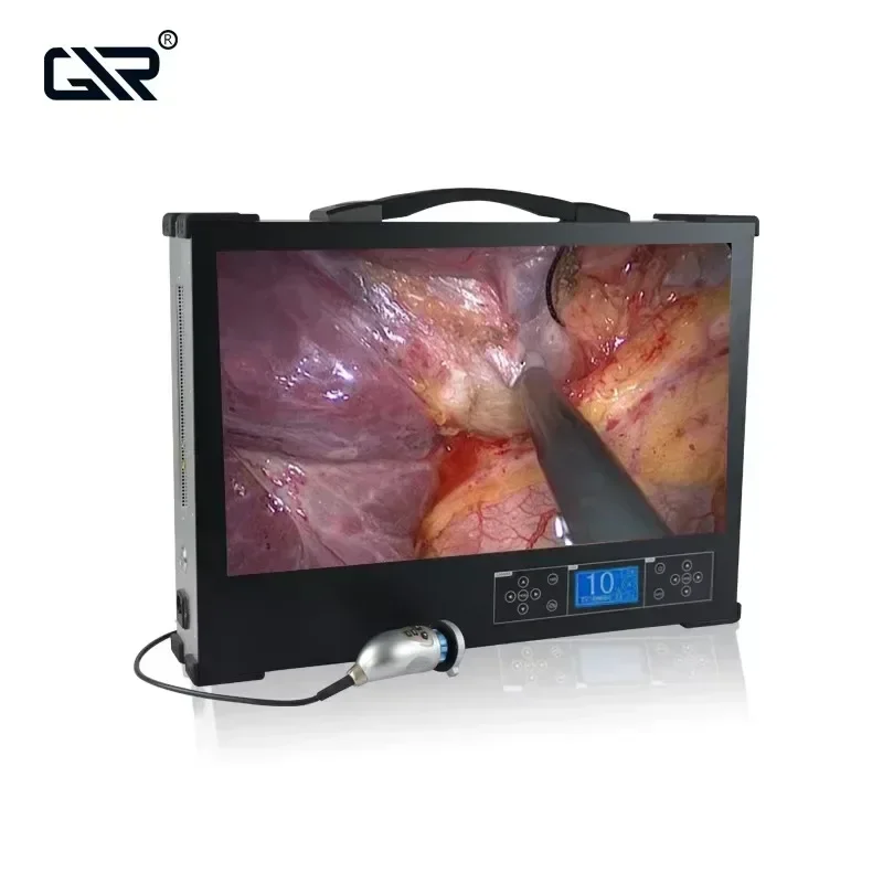 24 inch portable endoscopic examination machine for otolaryngology/laparoscopy/hysteroscopy/arthroscopy