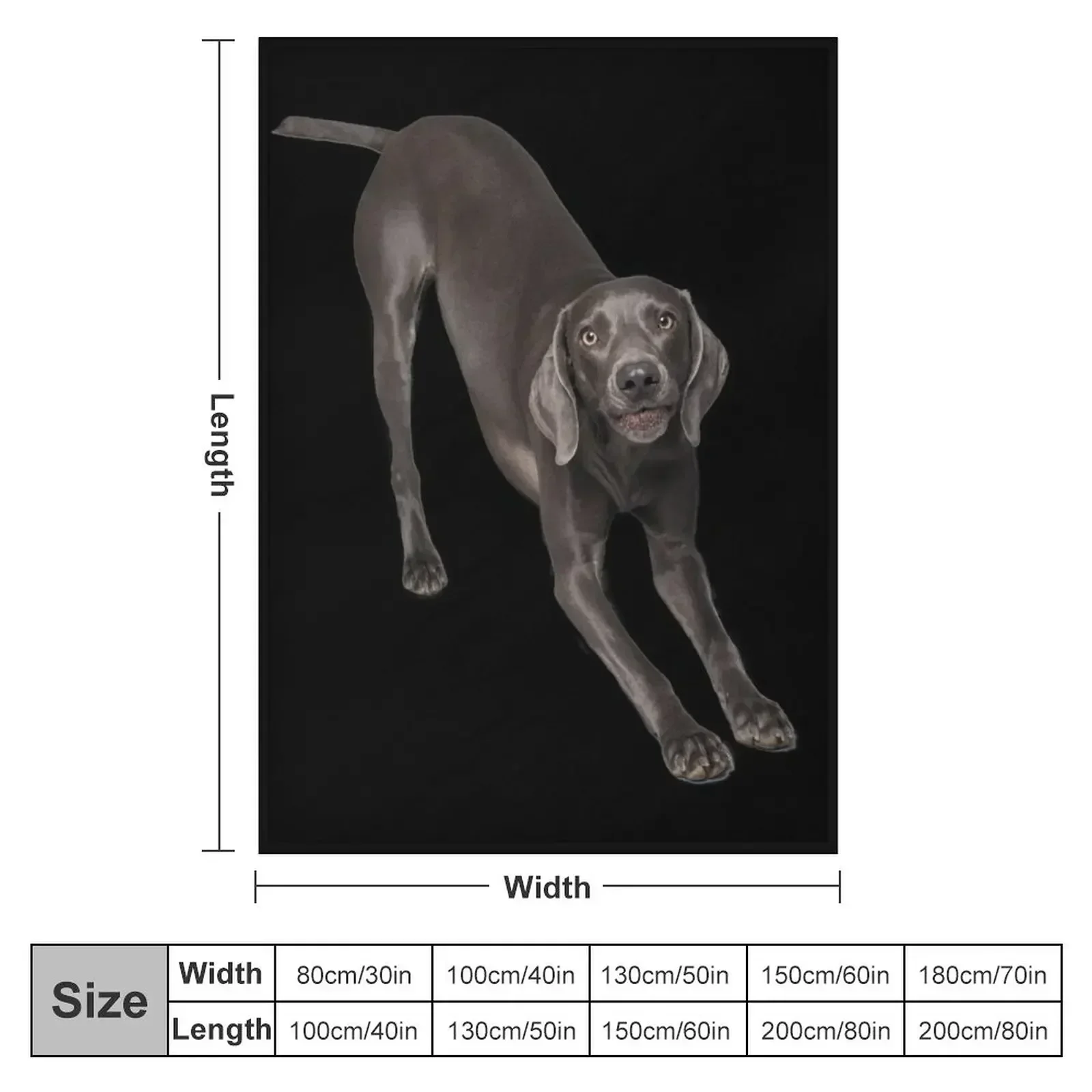 Weimaraner bow Throw Blanket Sofa Quilt Baby Flannels Beautifuls Blankets