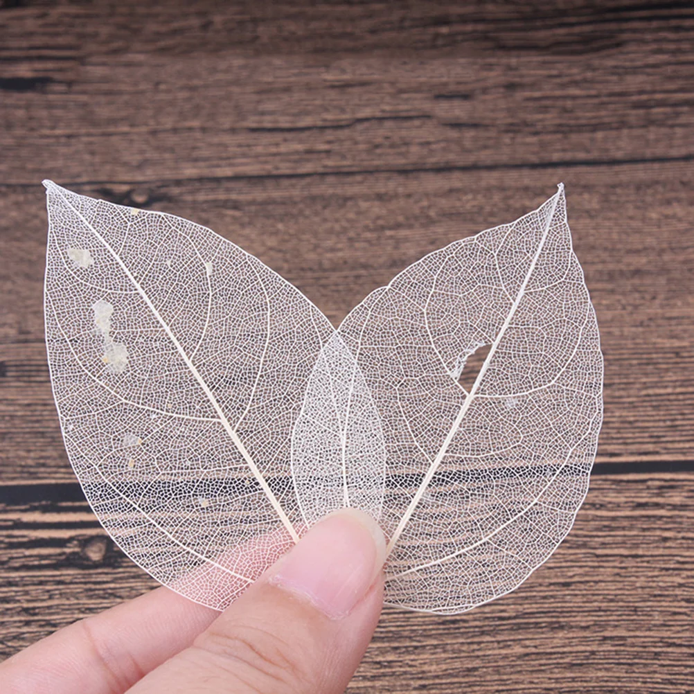 

6pcs Vein Specimen Handmade Leaves For Craft Project Diy Bookmark Accessory Dried Flowers Art Decoration