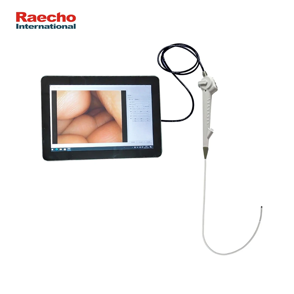 Disposable Video Ureteroscope ENT Ureteroscope Set Flexible Video Endoscope Digital Urological Ureteroscope