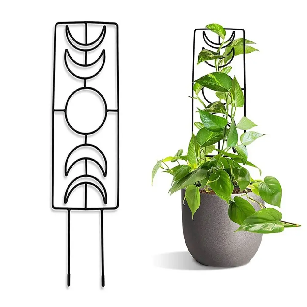 

Durable Iron Plant Supports Universal Outdoor Garden Trellis Indoor Vine Ivy Holder for Houseplants Flowers