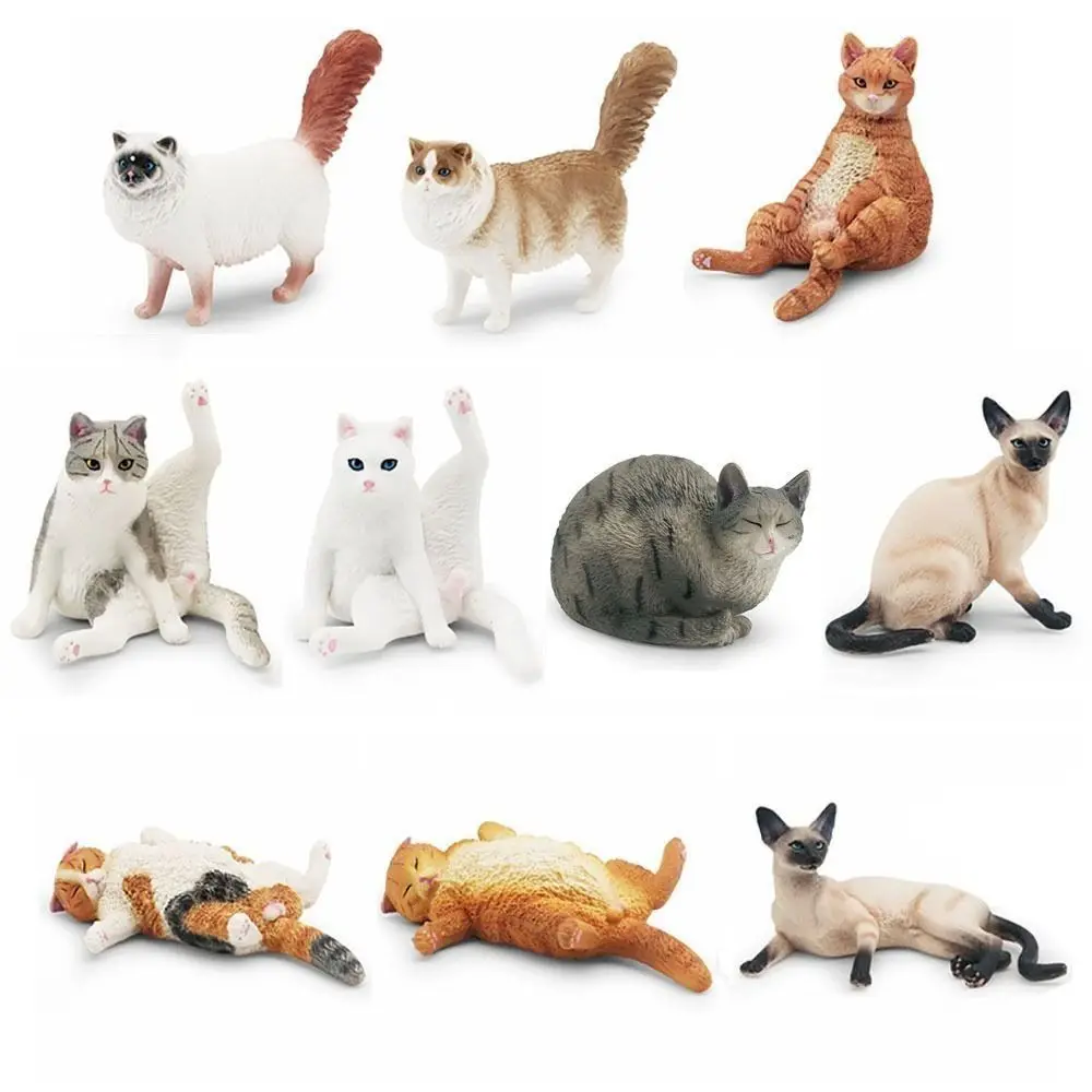 Cute PVC Simulation Cat Model Siamese Ragdoll Persian Cat Lifelike Cat Action Figures Realistic Pet Figurines Desktop Ornament