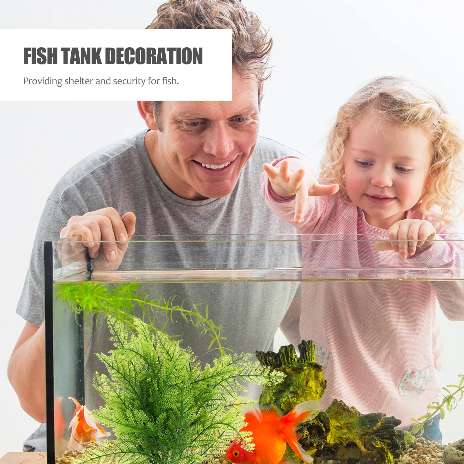 4 قطع من نباتات السرخس الاصطنا - مراجعة Aquarium Plant Yellowing وسعره