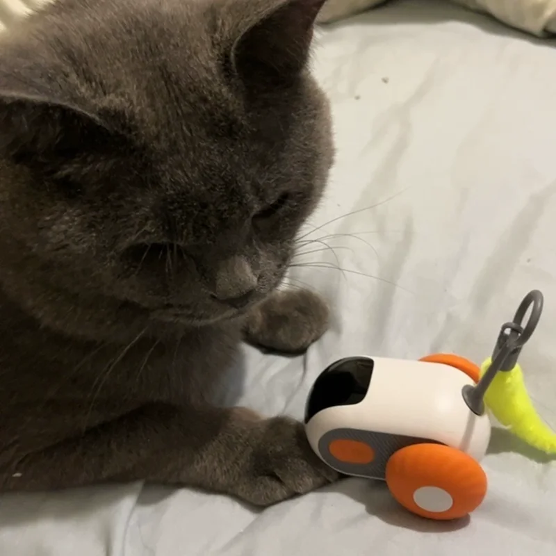 Jouet de voiture télécommandé Intelligent 2.0 pour chats, petite souris interactive, divertissement, jeu pour animaux de compagnie, auto-entretien joyeux