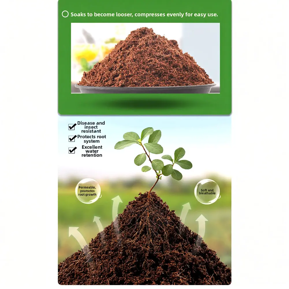 Coconut Coir Nutrient Blocks 12pcs 5cm for Gardening Indoor Plants Hydroponics Succulent Potting and Root Health Support
