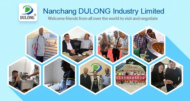 2026/domestic oil press machine Steel Gear Motor Automatic Oil Maker Extractor Aluminum Pressing Sleeve seed oil press machine