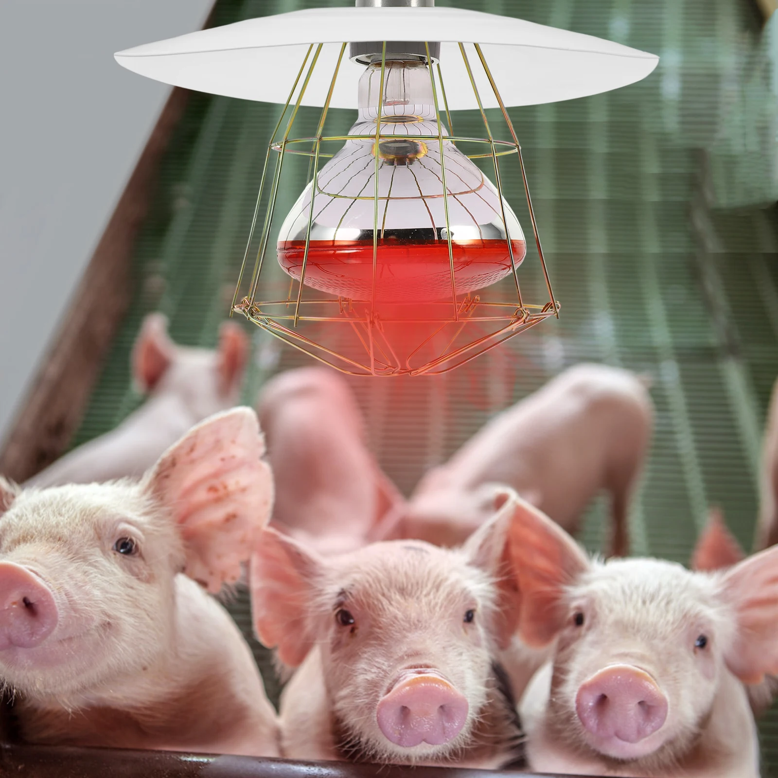 

1pc Heating Lampshade Metal For Chicken Coop Poultry Reptile Brooder Bulb Cage Cover Livestock Supplies Pet