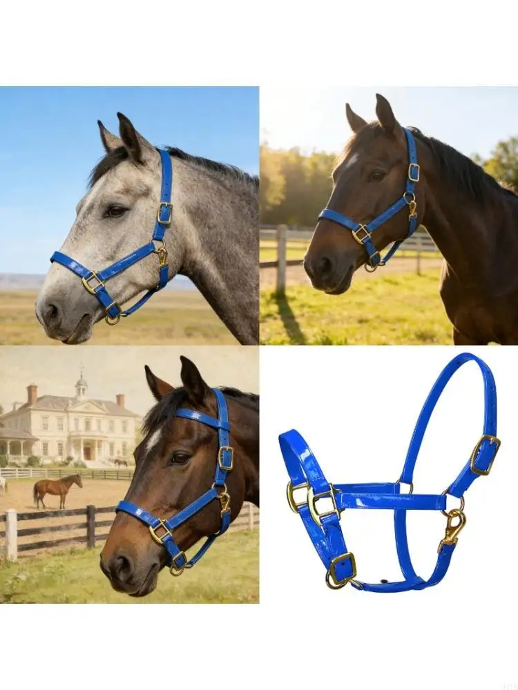 

Fashionable Golden Metal Horse Headstall Bridle With Soft Lining Waterproof
