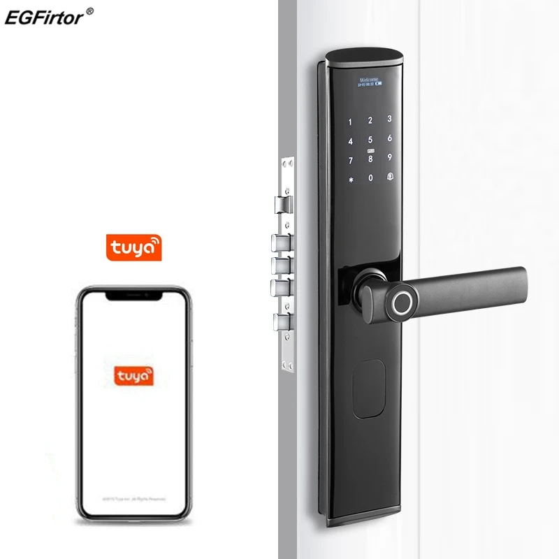 Touch Fingerprint Wooden Door Open Anti-theft Intelligent Apartment Home Stay Graffiti Tuya Smart Password Electronic Lock