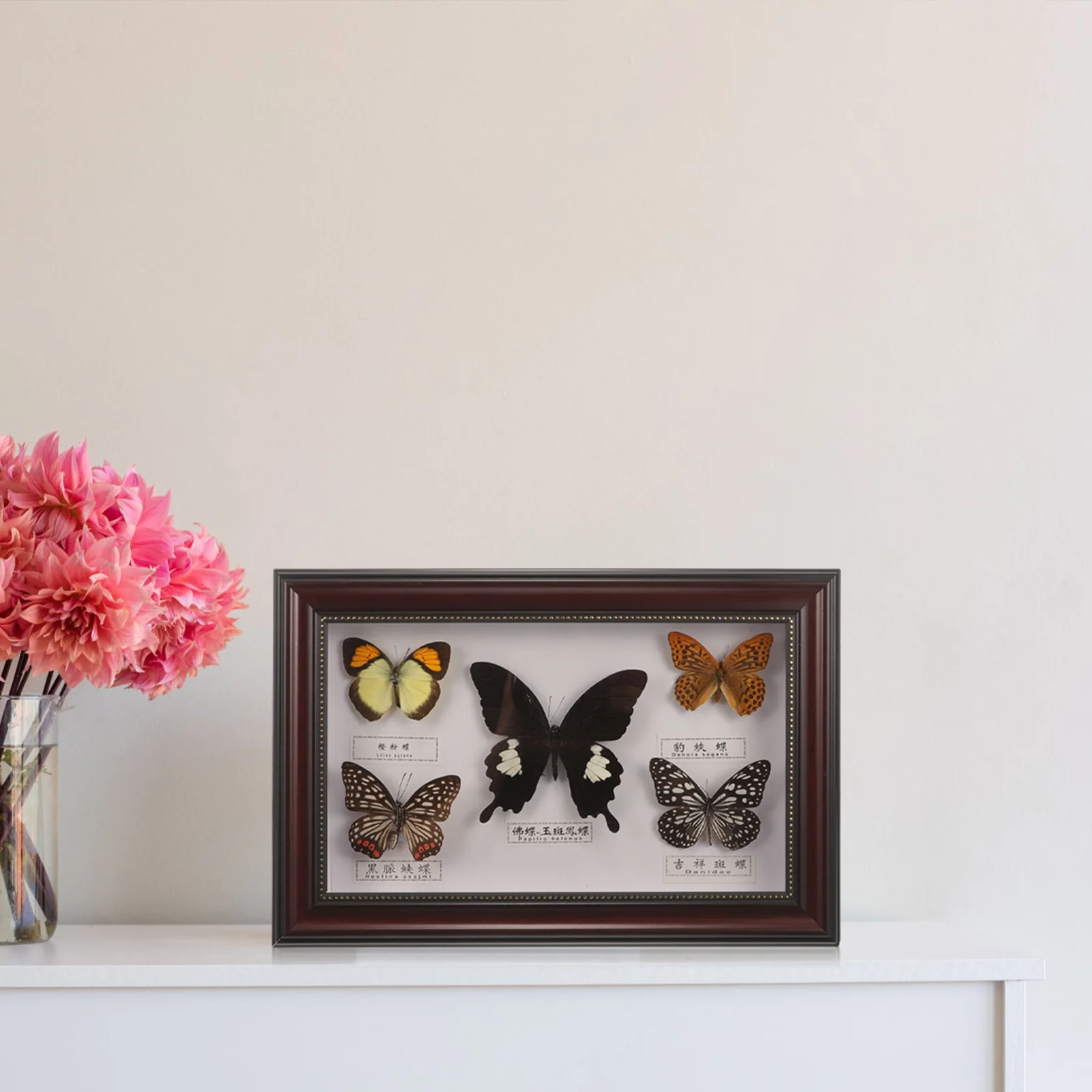 Photo Frame Butterfly Specimen Manual Hanging Butterflies Picture Landscape Display Holder