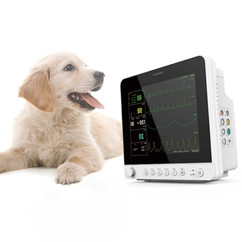 

12 Inch Multiparameter Veterinary Patient Monitor for Animal Care and Supplies