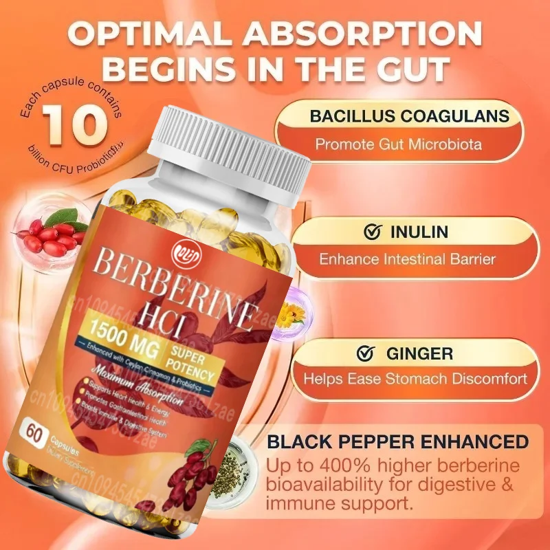 Berberine 1500mg Capsules Contains Ceylon Cinnamon, Magnesium, and Probiotics - Gut and Immune Health Support 60 Capsules