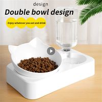 Feeding Bowl Double Bowl Pet Drinking Medium-sized Dogs And Cats Pet Bowl Automatic Refilling Small Pet Cat Bowl