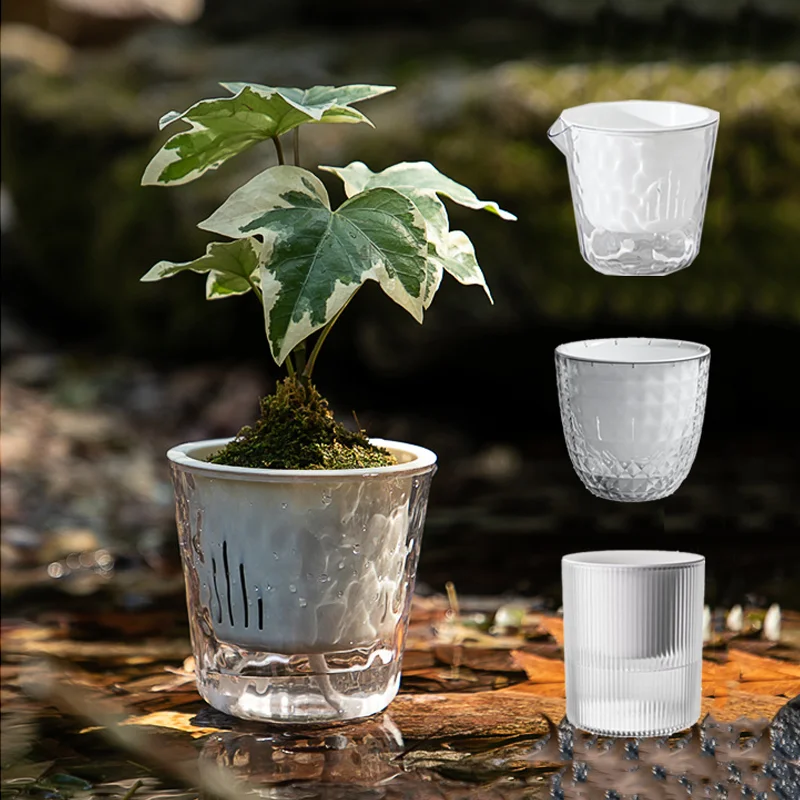 Self Watering Flower Pot Automatic Water Absorbing Lazy Planter Transparent Modern Flower Pot for Indoor Home Office Decor