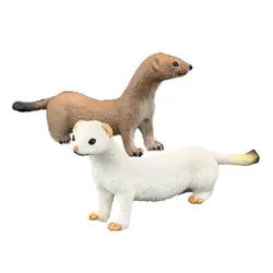 Ferret Cognitive Ornaments Solid  Simulation Animal Toy Wild Animal Model