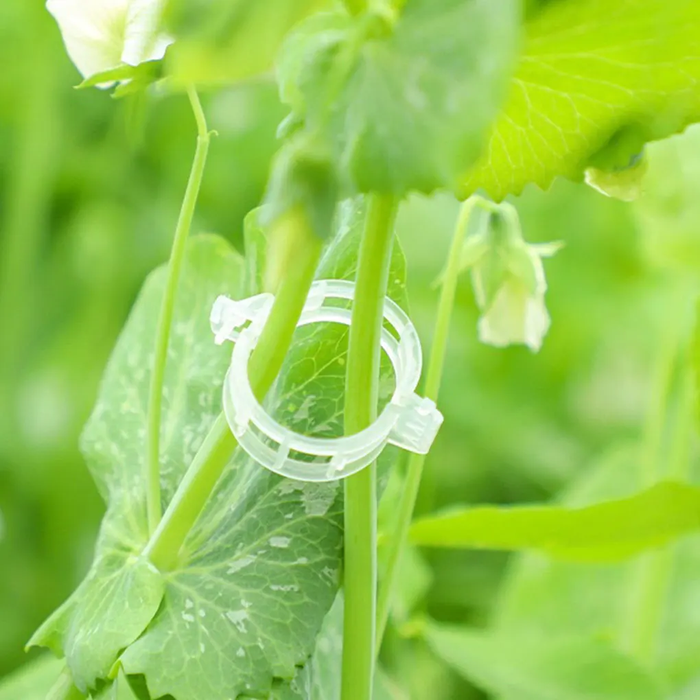 200x Eco-Friendly Plant Support Reusable Clips For Garden Plants Which Not Only Provides Strong white 30*9mm
