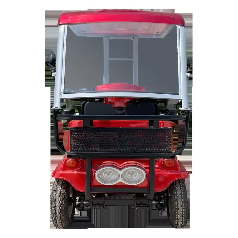 S5 60V 800W Resort Sightseeing Electric Car with Canopy 2026 New Single Seat Mobility Scooter for Rental Business Long Range
