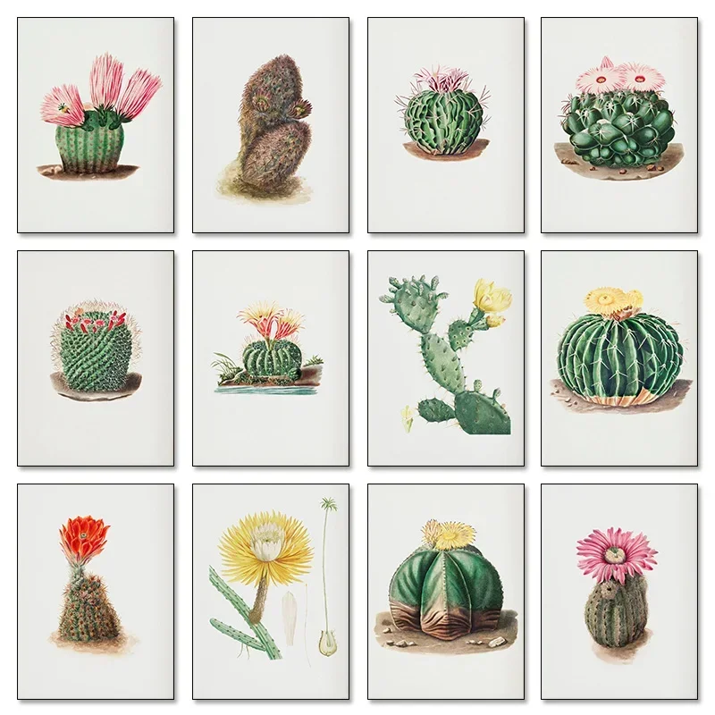Bishops Cap Cactus Desert California Cactus Flower Fan Aloe Poster Canvas Printing Decor Living Room Bedroom Wall Art Home De