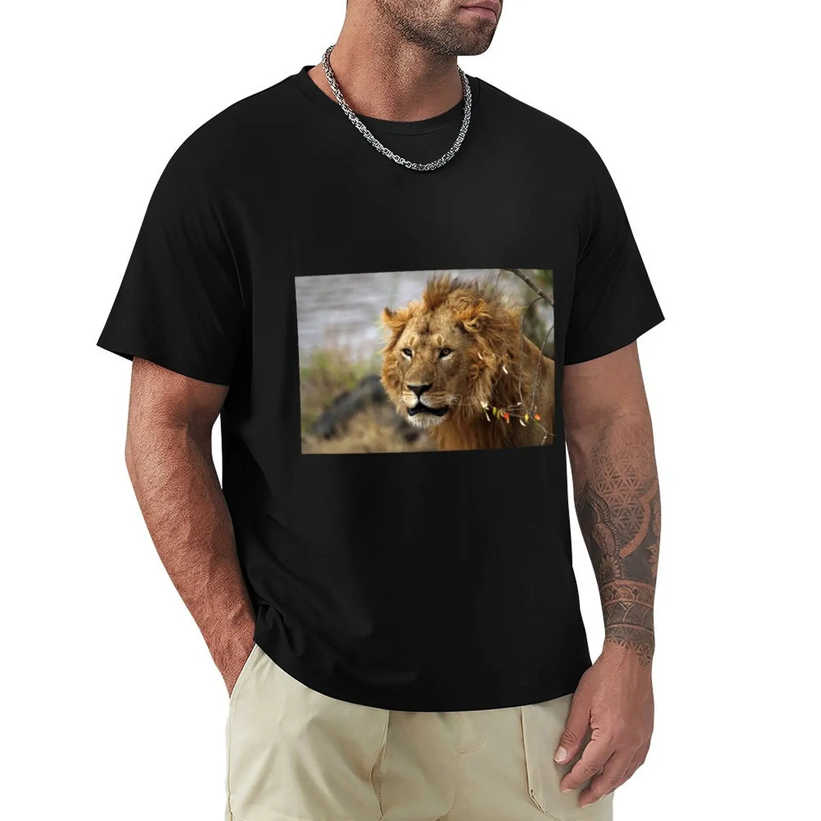 Cat: Large Male Lion Looking Intently as He Comes Out of the Bush, Maasai Mara, Kenya T-Shirt