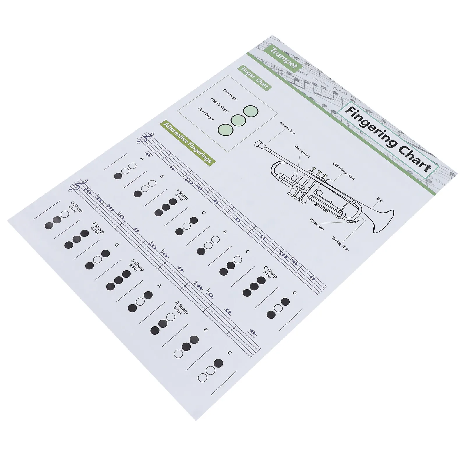 1Pcs Trumpet Chord Chart Poster Beginner Practice Guide with Clear Printing Bright Colors Coated Paper Wall Chart for Music