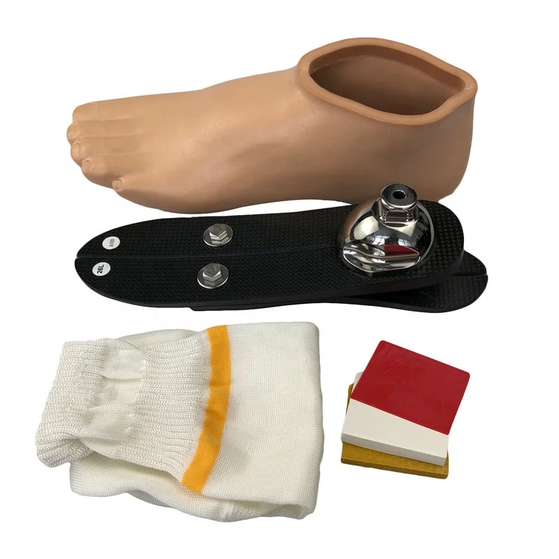 

Artificial Limbs Low Ankle Carbon Fiber Elastic Foot Prosthetic Foot