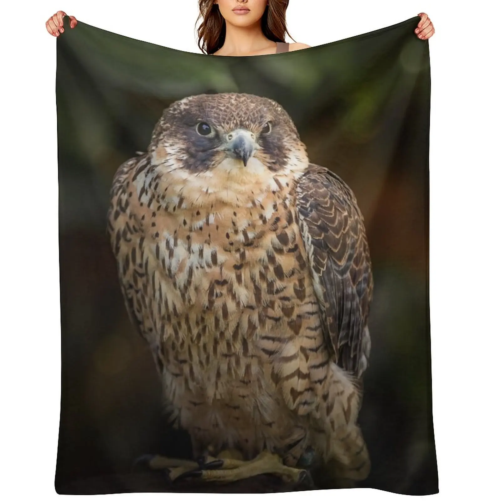 

Peregrine Falcon Bird of Prey Portrait Throw Blanket Luxury Throw christmas decoration Cute Sofa Quilt Blankets