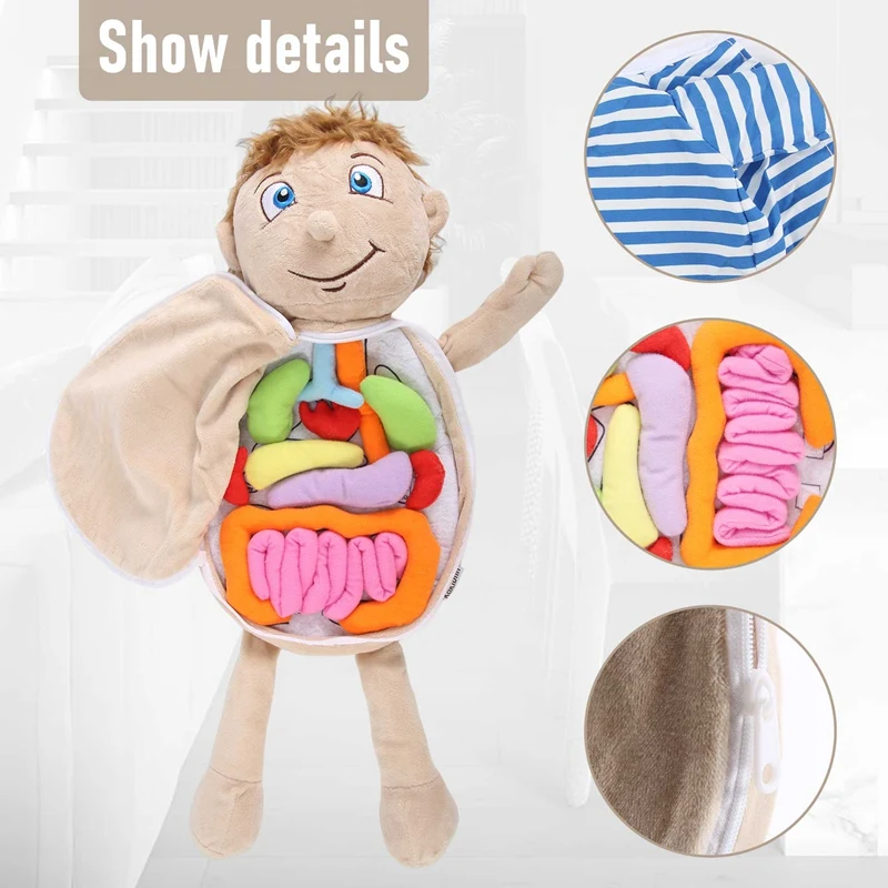 Muñeca de peluche ensamblada para niños, juguete de órganos corporales, anatomía del cuerpo humano, herramienta de enseñanza de ciencias, juguetes educativos