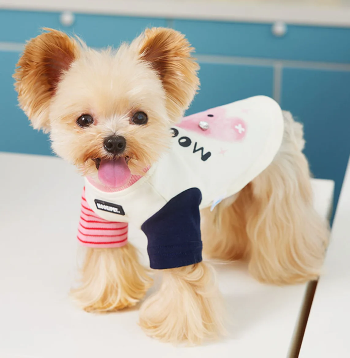 

Warm Bottoming T-shirt for Dog and Cat, Clothes for Pet Fever, Velvet Clothes