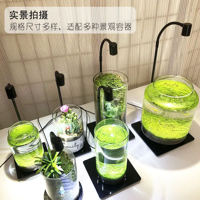 Full-Spectrum Micro-Landscape Lamp, Ecological Bottle Plant Growth Supplemental, Moss, Landscape