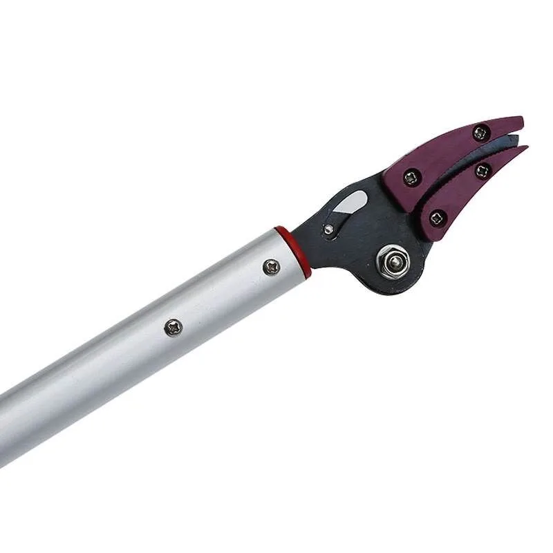 Multi-function Telescopic High Reach Shear, Angled Head Garden Tool for Fruit Picking & Thick Branch Trimming