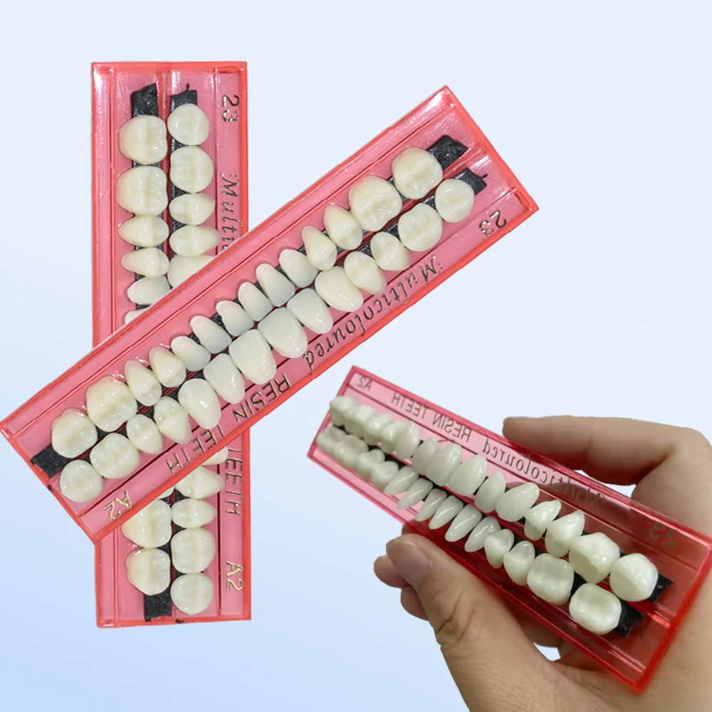 

Dental Resin Denture 28 Teeth Set with 3D Shade Guide Color Comparator Mirror for Bleaching and Training