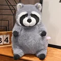 mapache bk