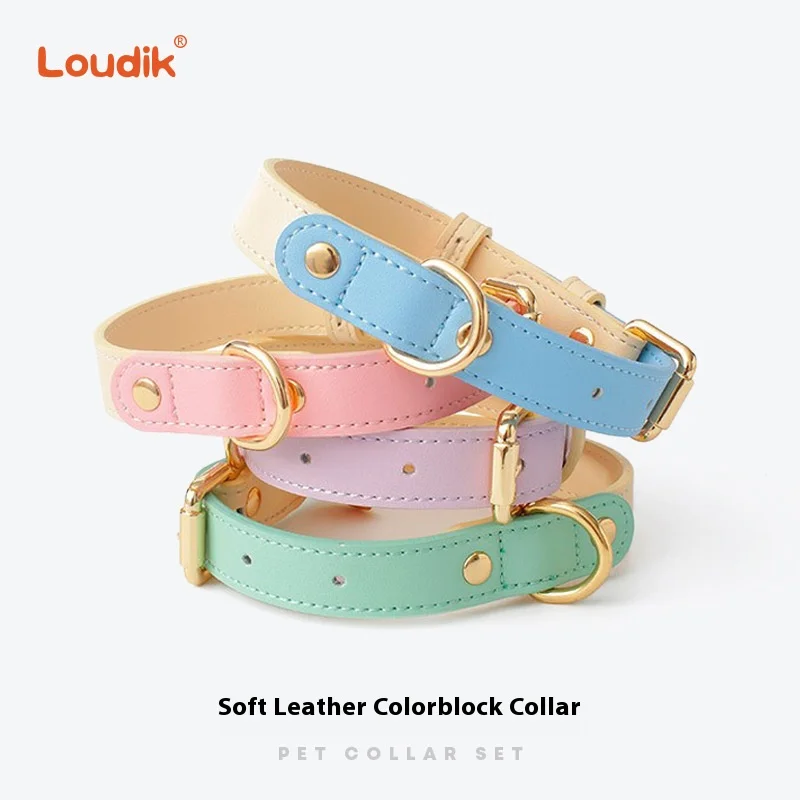 Loudik Colour-Block Leather Pet Collar Dog Leash Set With Beautiful Snap Rope Dog Walking Accessories Pet Training Gear