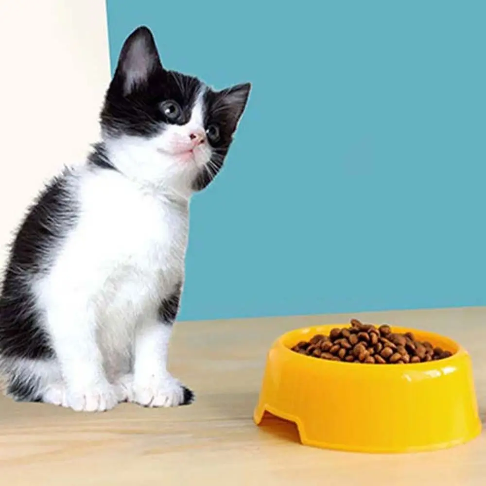 犬猫用スタンド式餌入れ、子犬子猫用フードボウル、ペット用品、水飲み容器、ペットフィーダーボウル