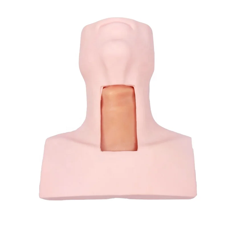 Advanced Cricothyroid Puncture and Tracheotomy Intubation Manikin Medical Science Training Model
