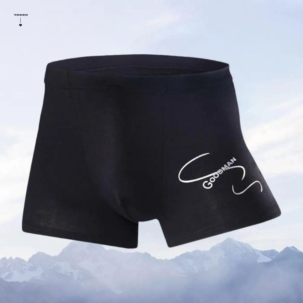 

Comfortable Seamless Men's Boxer Briefs Large Size Mid Waist Shorts Underpants Elastic 4PCS Underwear for Man Gifts