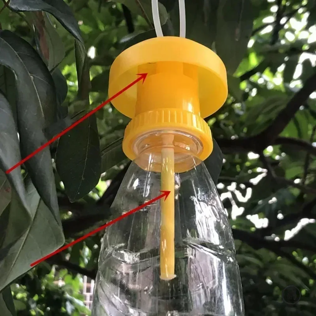 5PCS Fruit Killer Plastic Yellow Drosophila Trap Fly Catcher Pest Insect Control For Home Farm 6*6*2Cm