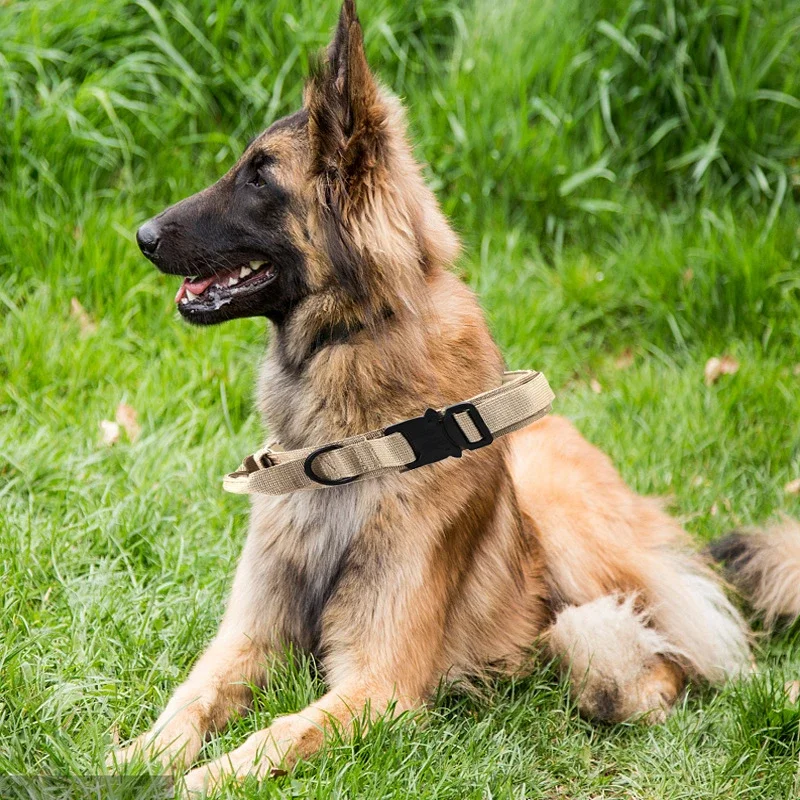 Collare per cani tattico militare durevole guinzaglio elastico Set collare da addestramento per passeggiate in Nylon per cani di taglia media