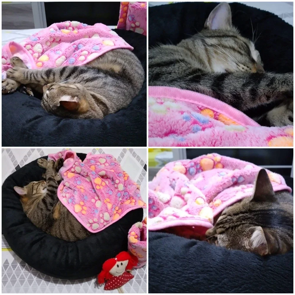 Soft Fluffy Cat Sleeping Blanket For Small Dogs Cats Mat Plush Thin Pet Cover Blanket Travel Comfortable Bed Mats Pet Supplies